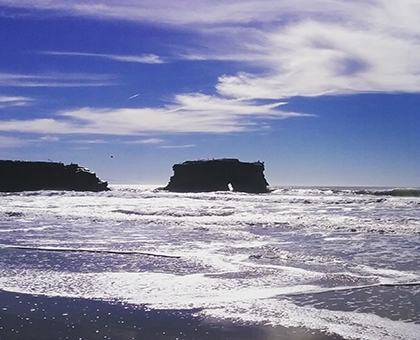 santa cruz day trips 